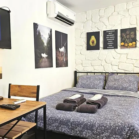 Luxury In Cihangir The Part Of Taksim Center Apartment Istanbul